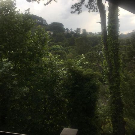 Ferienwohnung Aqui A Vida E Bella Campos do Jordão Exterior foto